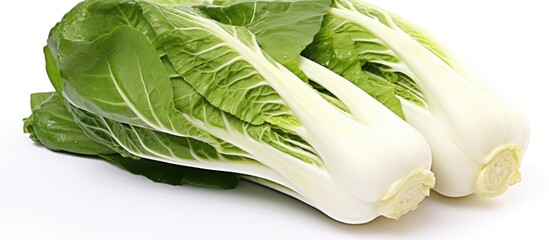 Leinwandbilder - Two Lettuce Leaves on White Surface