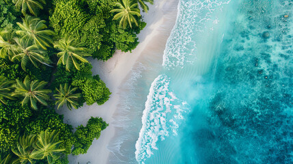 Wall Mural - Aerial perspective of a picturesque beach scene with tropical palm trees