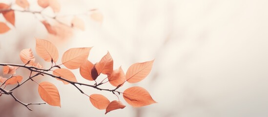 Poster - Close-Up of Orange Leaves on Branch