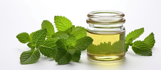 Poster - Peppermint oil bottle with mint sprig