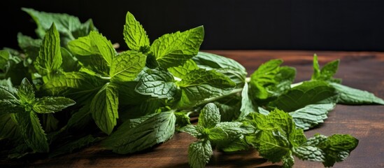 Leinwandbilder - Close up of fresh mint leaves on a tabletop