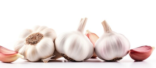 Wall Mural - Three garlic cloves and two bulbs on white background