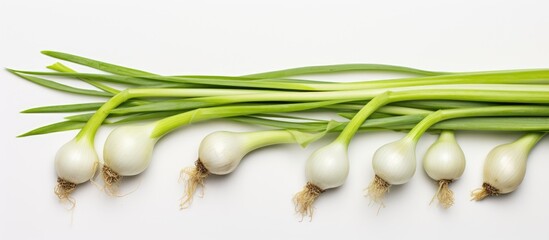 Aufkleber - Onions with fresh green stems