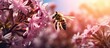 Bee Hovering Flower Blue Sky Background