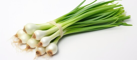 Canvas Print - Bunch of Fresh Green Onions on White Surface