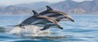 Dolphins leaping against mountain backdrop