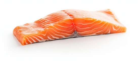 Poster - Salmon close-up on white background
