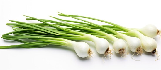 Poster - Green onions on white background