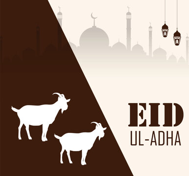 Eid Al Adha mubarak with cute Goat animal, The holiday occurs after the culmination of the annual Hajj. Feast of the Sacrifice.
