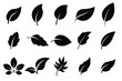 Leaf icons set .Leaves of trees and plants. Leaf silhouette. Leaf Collection. Leaf vector .Decoration elements design, eco, bio, vegan labels. Vector illustration.