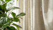 Interior of living room or bedroom with window linen curtains green house plants. Scandinavian style