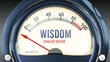 Wisdom and Insight Meter that hits less than zero, showing an extremely low level of wisdom, none of it, insufficient. Minimum value, below the norm. Lack of wisdom. ,3d illustration