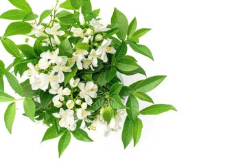 Poster - A bunch of white flowers with green leaves. Perfect for nature-themed designs