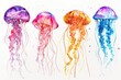 A group of jellyfish floating in the water, suitable for marine life concepts