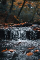 Poster - A stream flowing through a forest, perfect for nature backgrounds