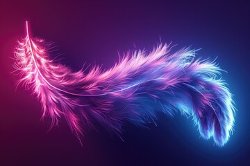 Poster - Vibrant pink and blue feather against a stark black backdrop. Perfect for artistic projects or graphic design