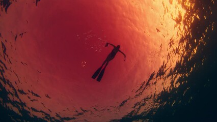 Wall Mural - Woman freediver swims underwater in the tropical sea during twilight