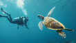 Diver swimming with turtle under the sea. 