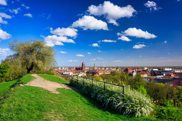 Wall Mural - Beautiful blooming tree and the Main City of Gdansk at spring, Poland