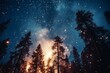 b'Fireworks light up the night sky over a forest'