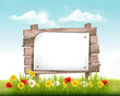 Spring nature landscape background with daisy, poppies, dandelon flowers and wooden sign. Vector.