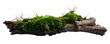 © RM Graphics - Fresh green moss on rotten branch and dirt isolated on white, side view, clipping path