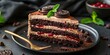 Chocolate Layer Cake for Dessert Enthusiasts, Rich Chocolate Layered Cake with Cream and Cookie Crumble, Foodie Delight