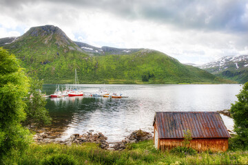 Wall Mural - Old Shed on the Shore at Torsken on the Beautiful Norwegian Island of Senja