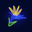 Fashion flower of paradise, neon sign. Night bright signboard, Glowing light. Summer logo, emblem for Club or bar concept