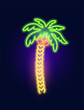 Fashion tropical neon sign. Night bright signboard, Glowing light leaf. Summer logo, emblem for Club or bar concept, palm tree