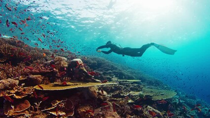 Sticker - Underwater footage of the freediver swimming with camera and filming the healthy coral reef in Komodo National Park in Indonesia