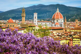 Fototapeta Miasto - Wisteria flowers blooming in Florence city in spring time, Tuscany, Italy