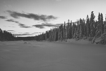 Wall Mural - Image from the Alterdalstjernet Lake, part of the Totenaasen Nature Reserve up in the Totenaasen Hills, Norway, in winter.