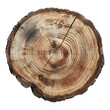 © posterpalette - Sliced tree top view isolated on transparent background, circular wood piece Tree stump slice