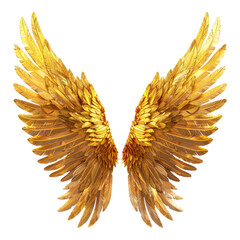 Vibrant golden wings isolated on transparent background