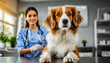 Closeup of a beautiful dog on the table in a veterinary clinic looking at camera, in the background a blurry young female veterinarian with stethoscope, smiling and looking at camera. Generative Ai.