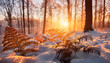 Zimowy poranek w lesie, paprocie. Generative AI