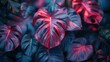 Monstera Deliciosa Leaves in Bold Pink and Blue.