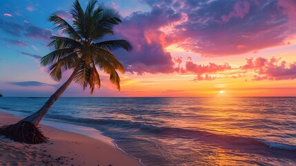 Wall Mural - Stunning tropical sunset scenery on the beach, images of the sunset with a palm tree on the beach.