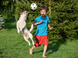 Kid playing football with family pet dog in backyard garden. Dog jumps to catch a ball.
