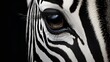 Zebra Patterns Showcasing Natures Elegance Background