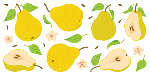 Wall Mural - Hand drawn colorful pear set, whole and cut fruit, flowers, leaves. Trendy flat style isolated on white for textiles, labels, posters, web. Ripe juicy pears. Vegetarian organic food. Vector illustr