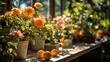 b'A beautiful still life of orange flowers and lemons on a wooden table'