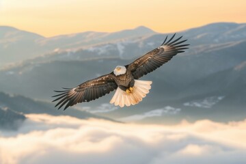  b'majestic bald eagle soars above the clouds with mountains in the distance'