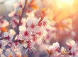 Beautiful spring nature background with blooming tree