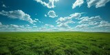 Fototapeta Natura - b'Green Grass Field Under Blue Sky With White Clouds'