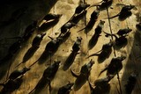 Fototapeta Uliczki - A bunch of dead mice are on a wooden surface