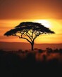 African Continent. Sunset over Acacia Tree in Kenya National Park Map Concept