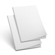 3D Two Blank Magazine With Soft Cover On White