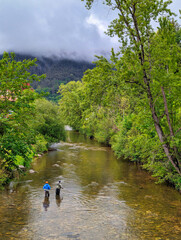 Wall Mural - A fisherman fishing in the Piloña river in Infiesto, Asturias, Spain